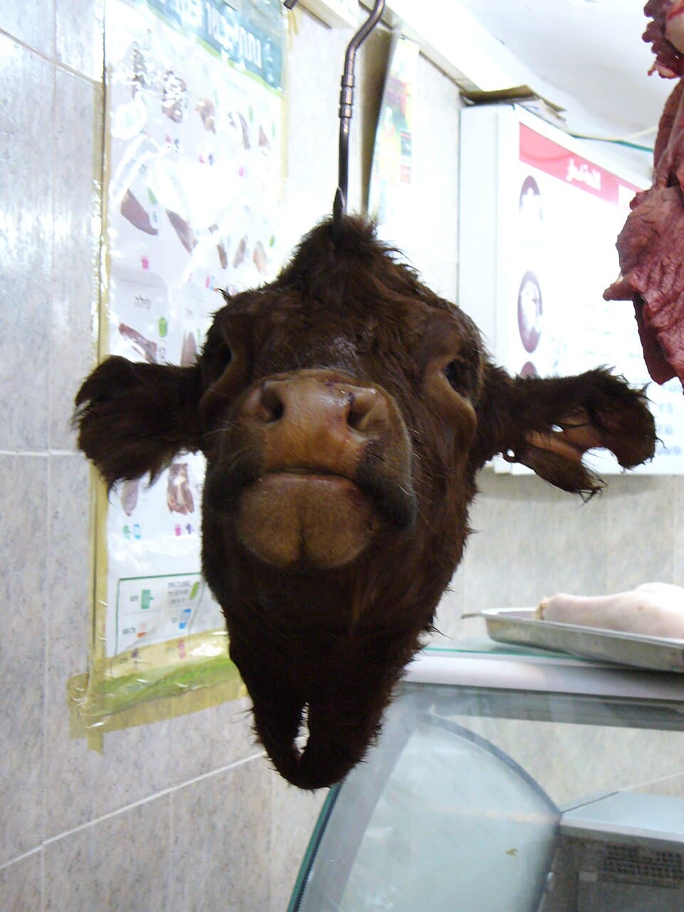 Kepala sapi utuh tidak dijual