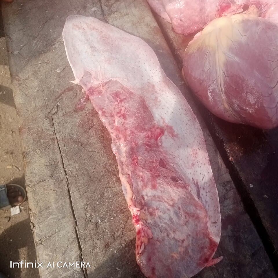 Paru sapi segar untuk goreng dan balado