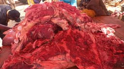 Daging sapi super segar Lembu Lemu Temanggung